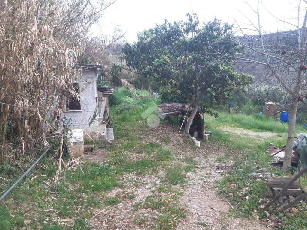 Terreno a Castrovillari in C.da Feliceto - Foto 3