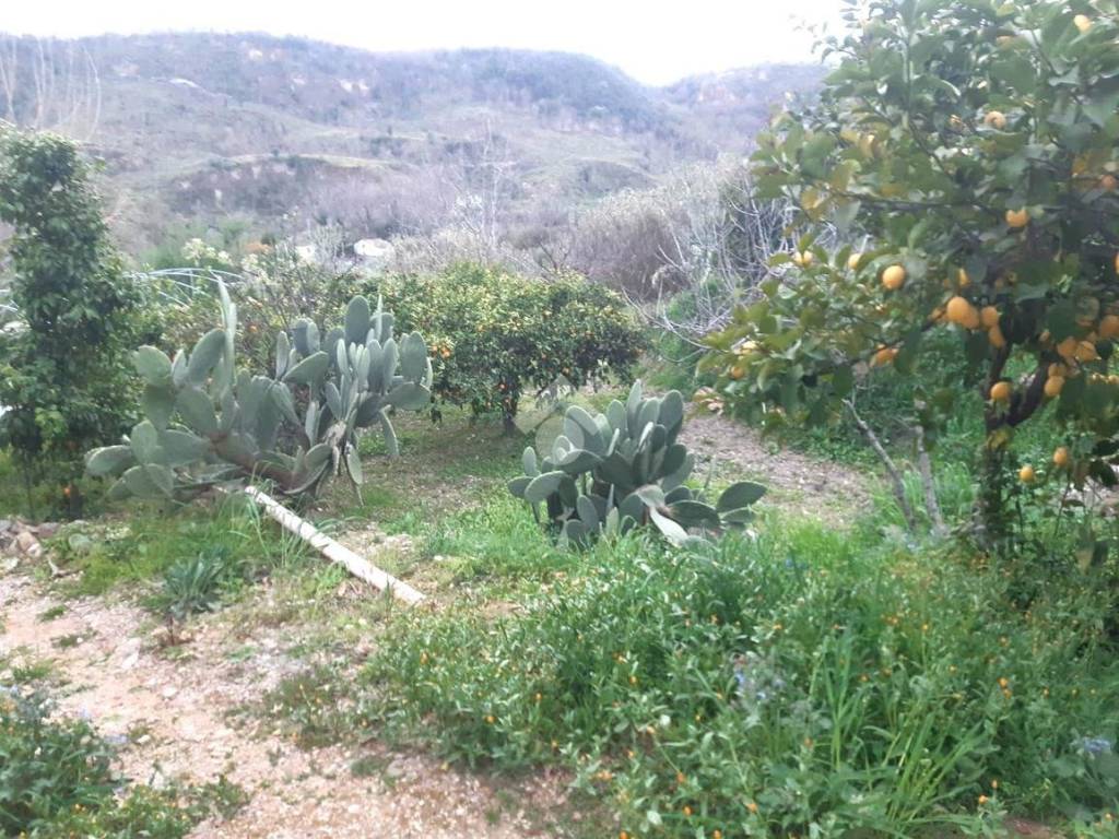 Terreno a Castrovillari in C.da Feliceto - Foto 4
