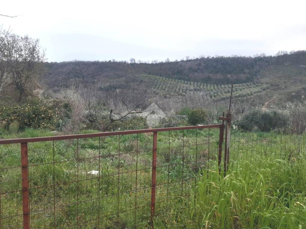 Terreno a Castrovillari in C.da Feliceto - Foto 5