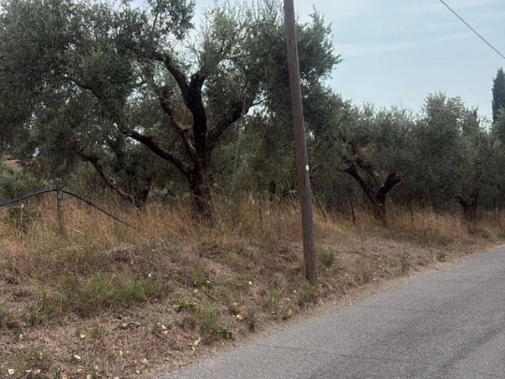 Terreno a Formello in Via della Perazzeta - Foto 3