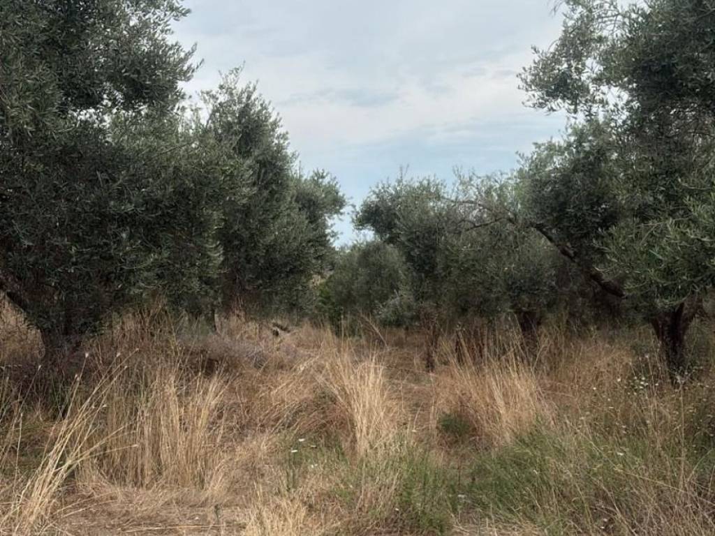 Terreno a Formello in Via della Perazzeta - Foto 4