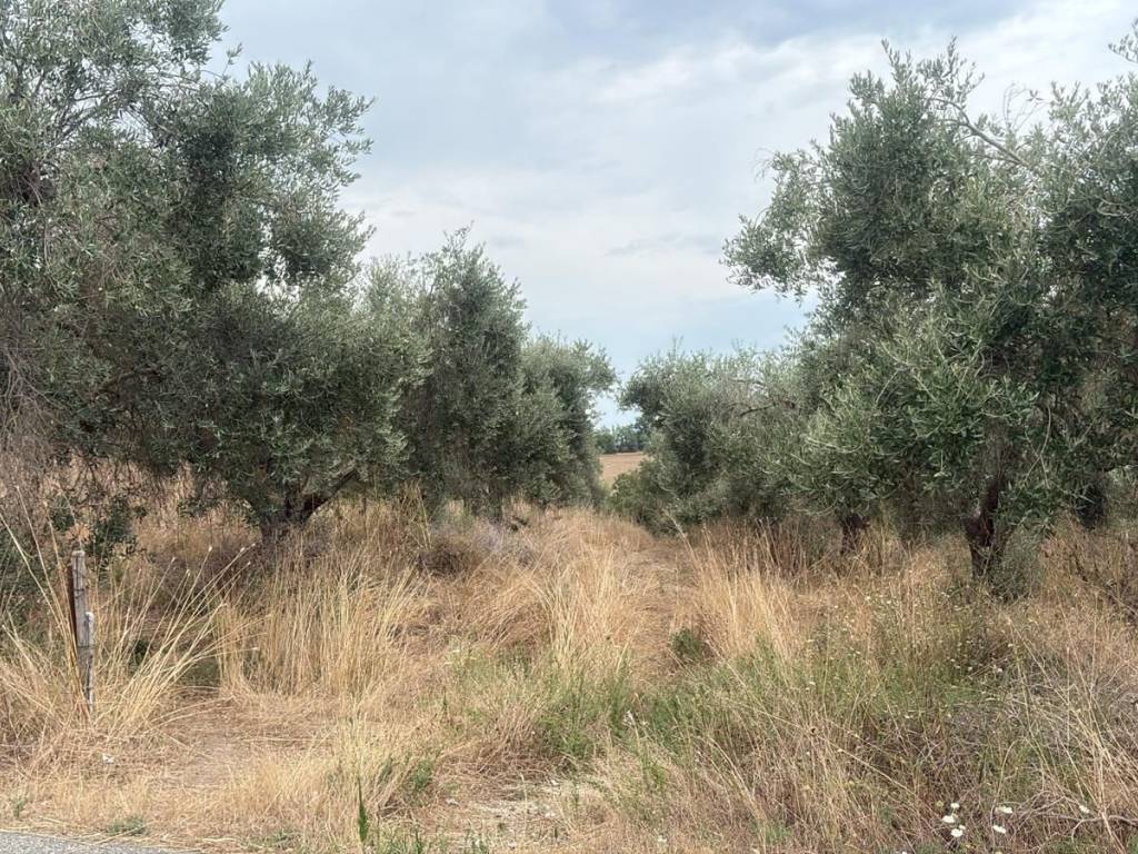 Terreno a Formello in Via della Perazzeta - Foto 5