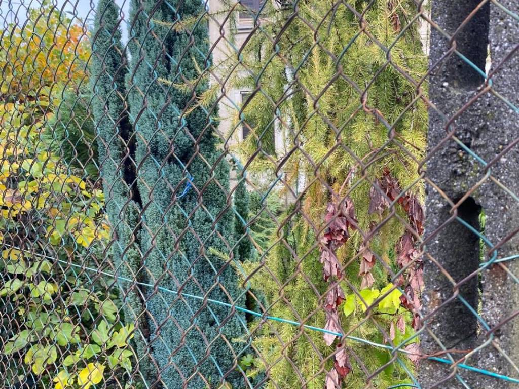 Villa a Vigevano in Via Aguzzafame, 5 - Foto 5