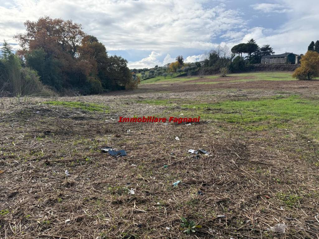 Terreno a Velletri in Via Vecchia di Napoli - Foto 5
