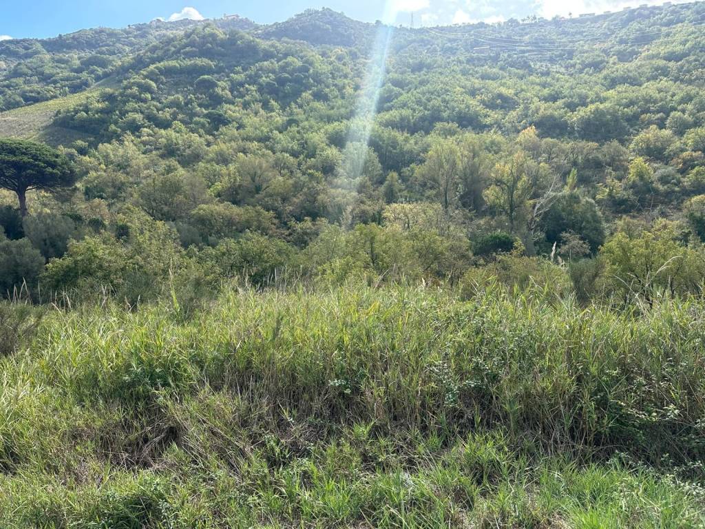 Terreno a Agropoli in Via Cannetiello - Foto 3