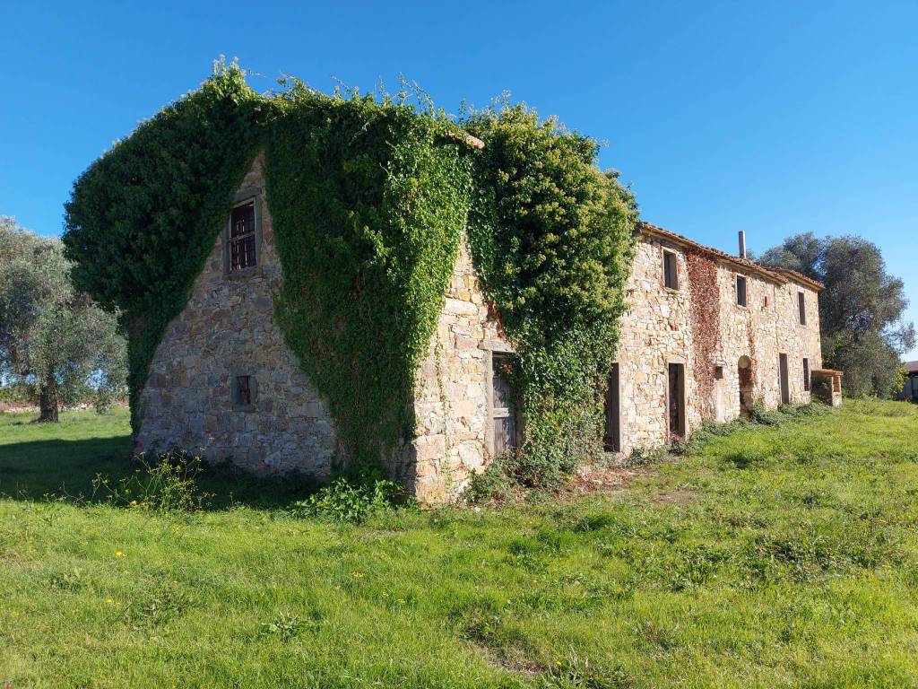 Rustico / casale a Magliano in toscana in Strada Consortile La Capitana - Foto 3