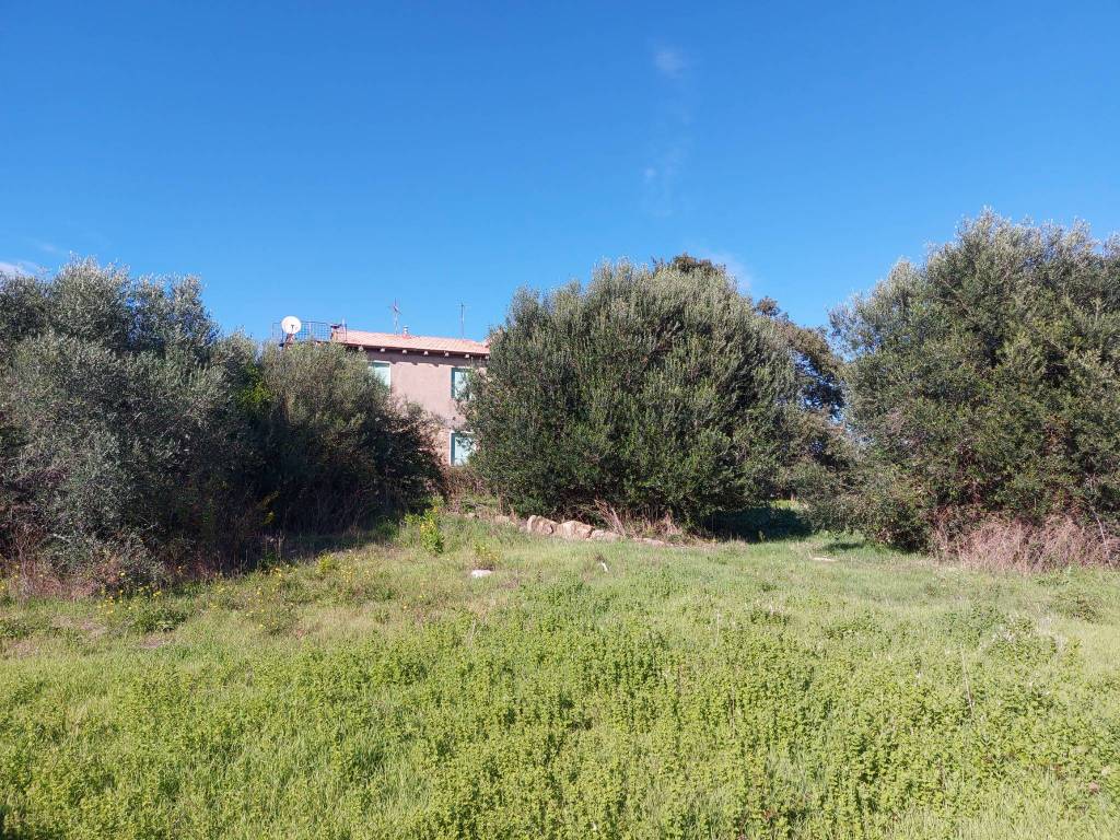 Rustico / casale a Magliano in toscana in Strada Consortile La Capitana - Foto 4