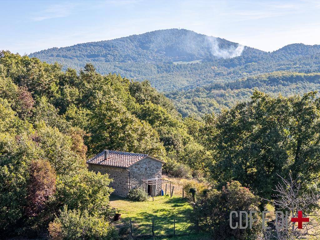 Rustico / casale a Montieri in Località Bocca di Sala - Foto 2
