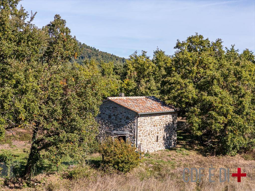 Rustico / casale a Montieri in Località Bocca di Sala - Foto 4