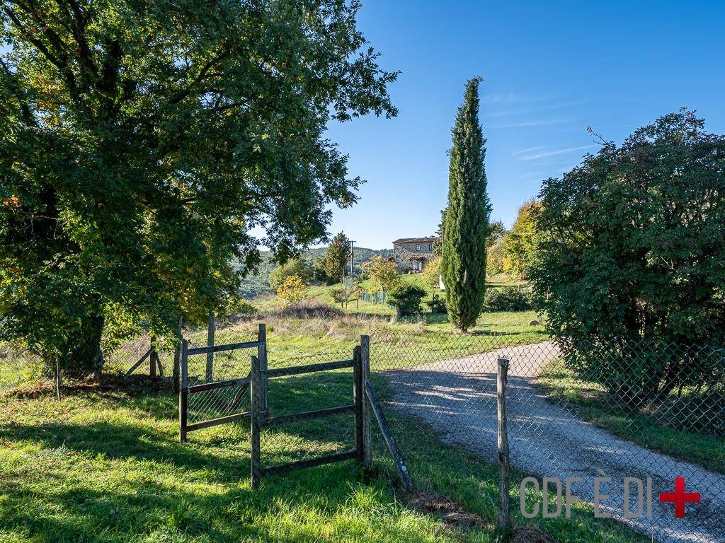 Rustico / casale a Montieri in Località Bocca di Sala - Foto 5
