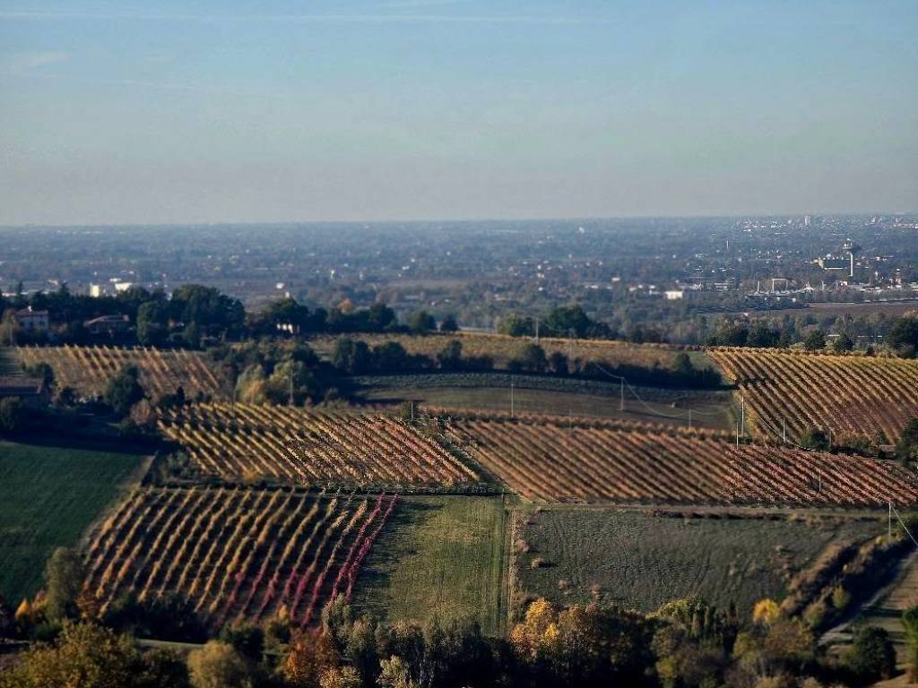 Terreno a Valsamoggia in Via Montebudello - Foto 2