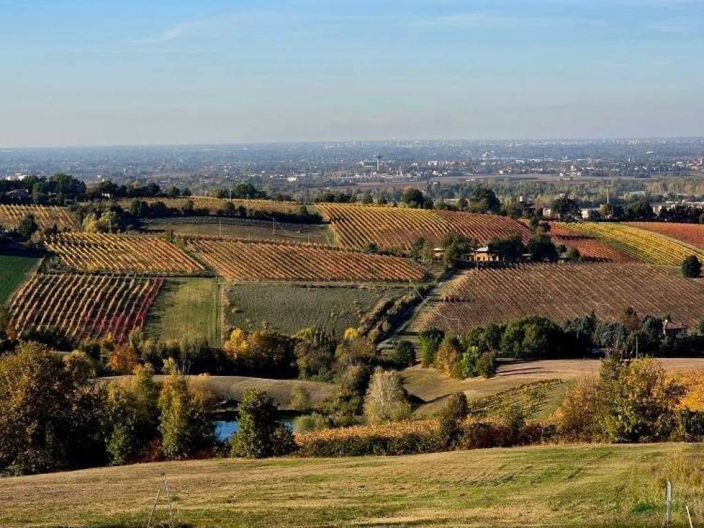 Terreno a Valsamoggia in Via Montebudello - Foto 3