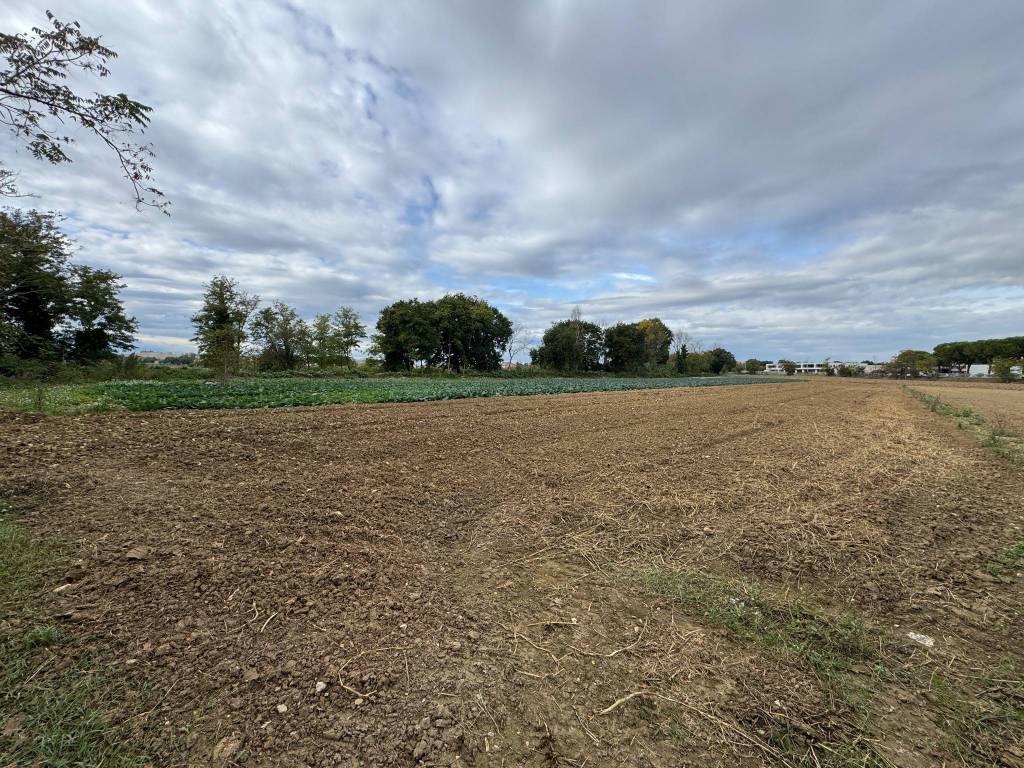 Terreno a Morrovalle in Via Michelangelo, 171 - Foto 2