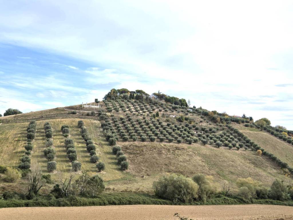 Terreno a Monteprandone in Contrada Montetinello - Foto 2