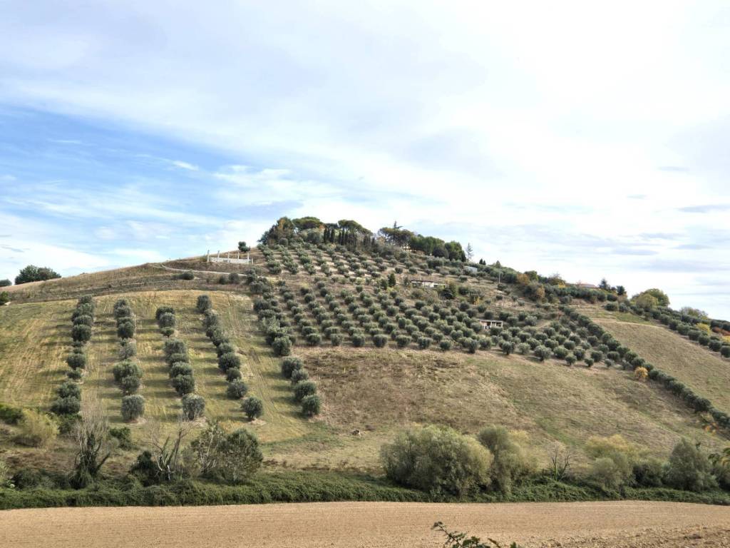 Terreno a Monteprandone in Contrada Montetinello - Foto 3