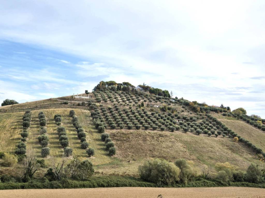 Terreno a Monteprandone in Contrada Montetinello - Foto 4