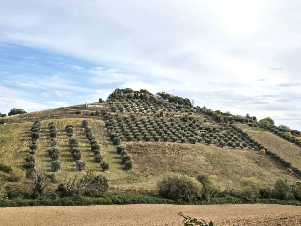 Terreno a Monteprandone in Contrada Montetinello - Foto 5