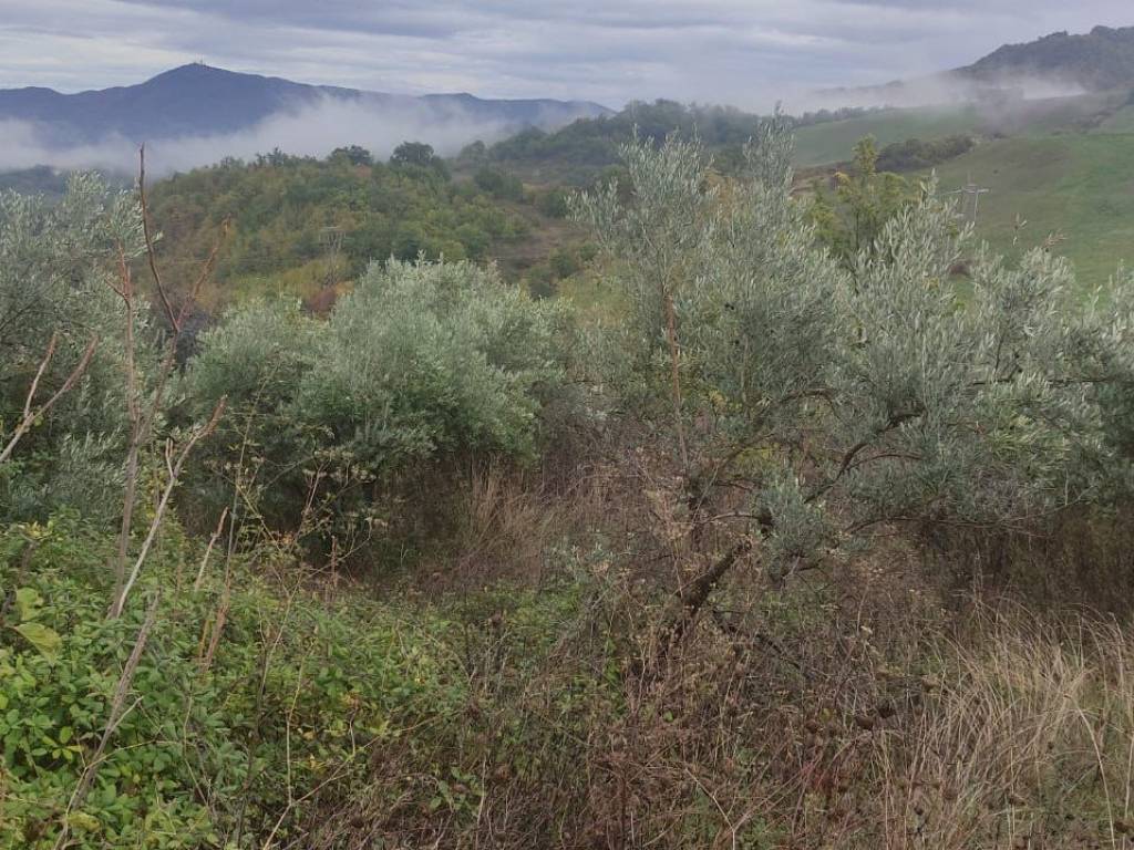 Rustico / casale a Gessopalena in Contrada Atriena, 3 - Foto 2