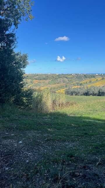 Terreno a Torino di sangro - Foto 3