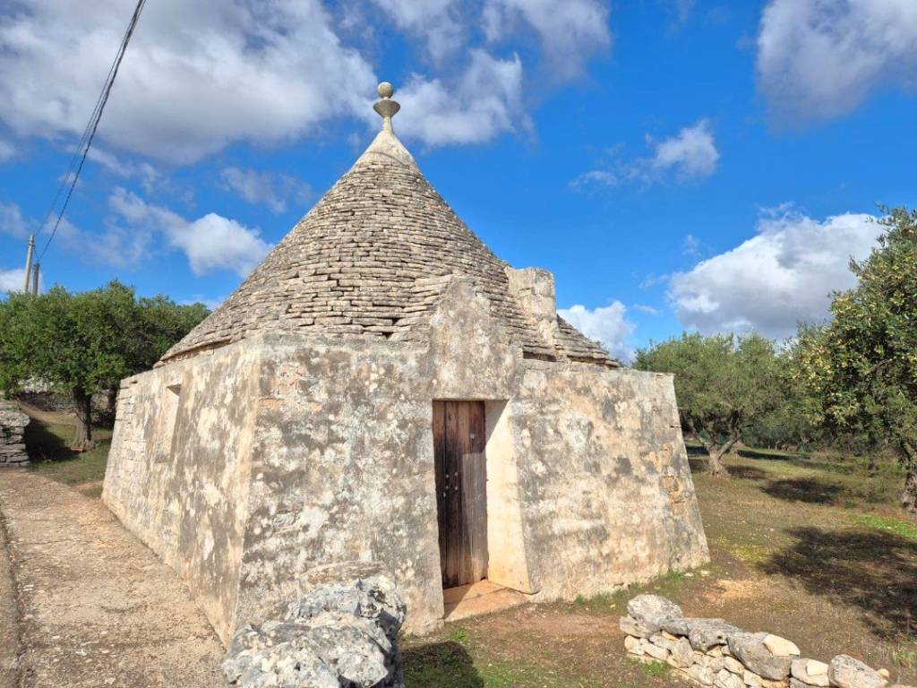 Rustico / casale a Martina franca in Contrada Monte Tre Carlini - Foto 2