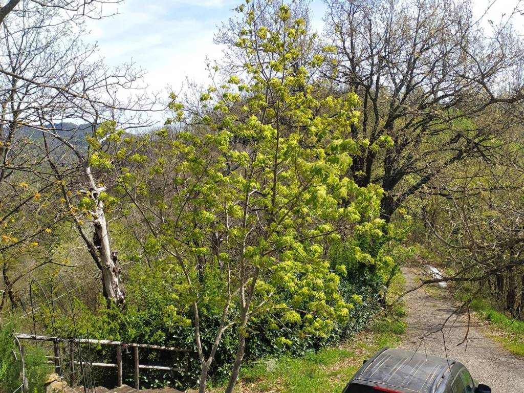 Villa a Monzuno in Via delle Scale - Foto 2