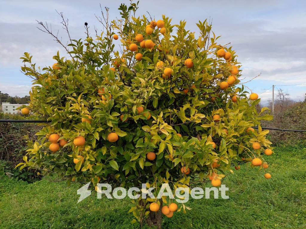 Terreno a Crotone in Strada Statale 107 Silana Crotonese - Foto 5