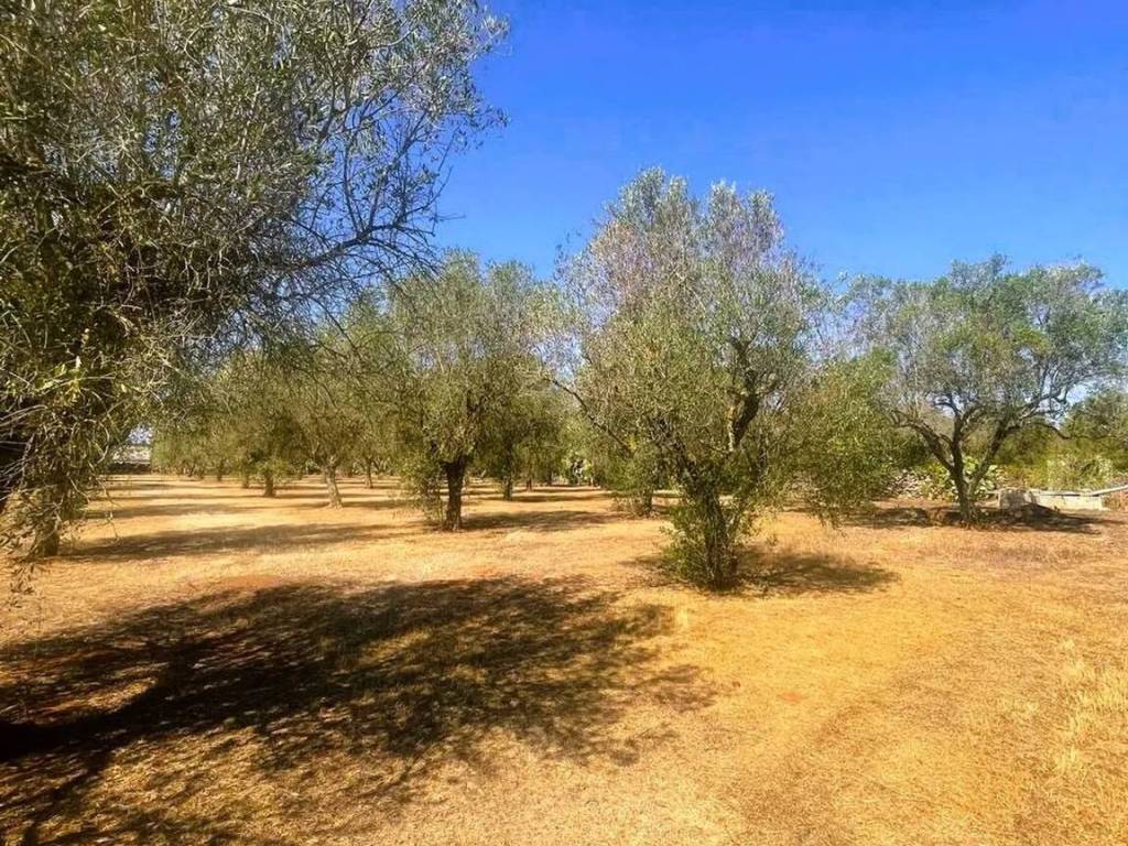 Terreno a Martano - Foto 5