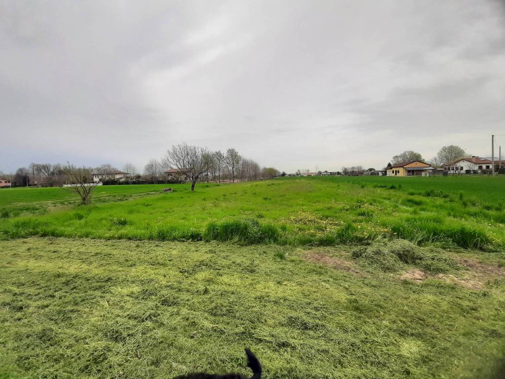 Terreno a Mira in Via Malpaga - Foto 2
