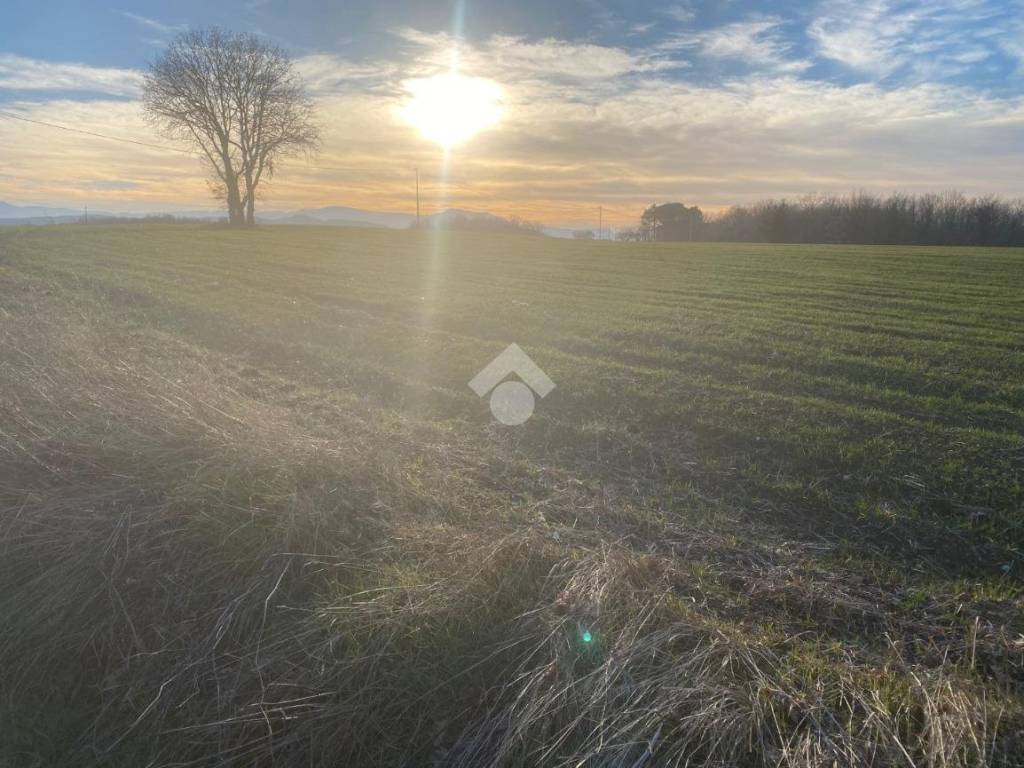 Casa indipendente a Ripalimosani in Contrada Selva - Foto 3