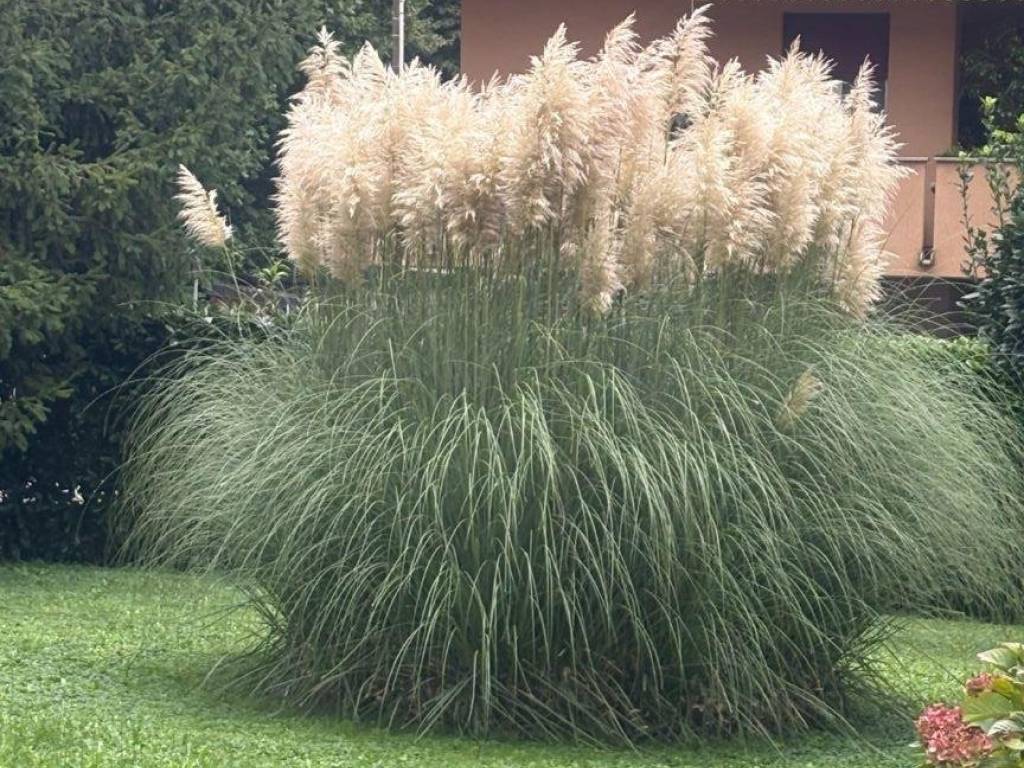 Appartamento a Cernobbio - Foto 4