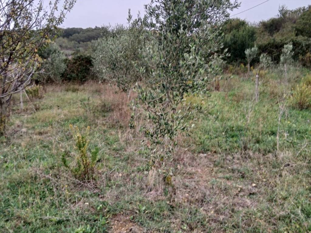 Terreno a Civitavecchia in Via Andrea Moneta - Foto 2