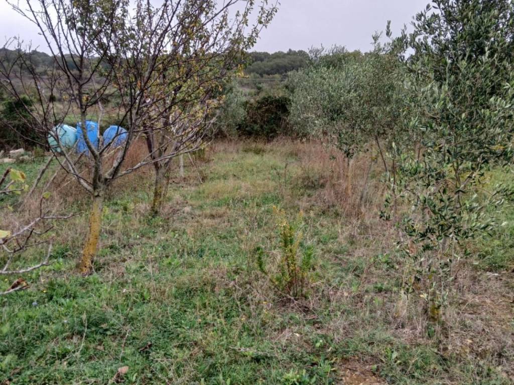 Terreno a Civitavecchia in Via Andrea Moneta - Foto 3