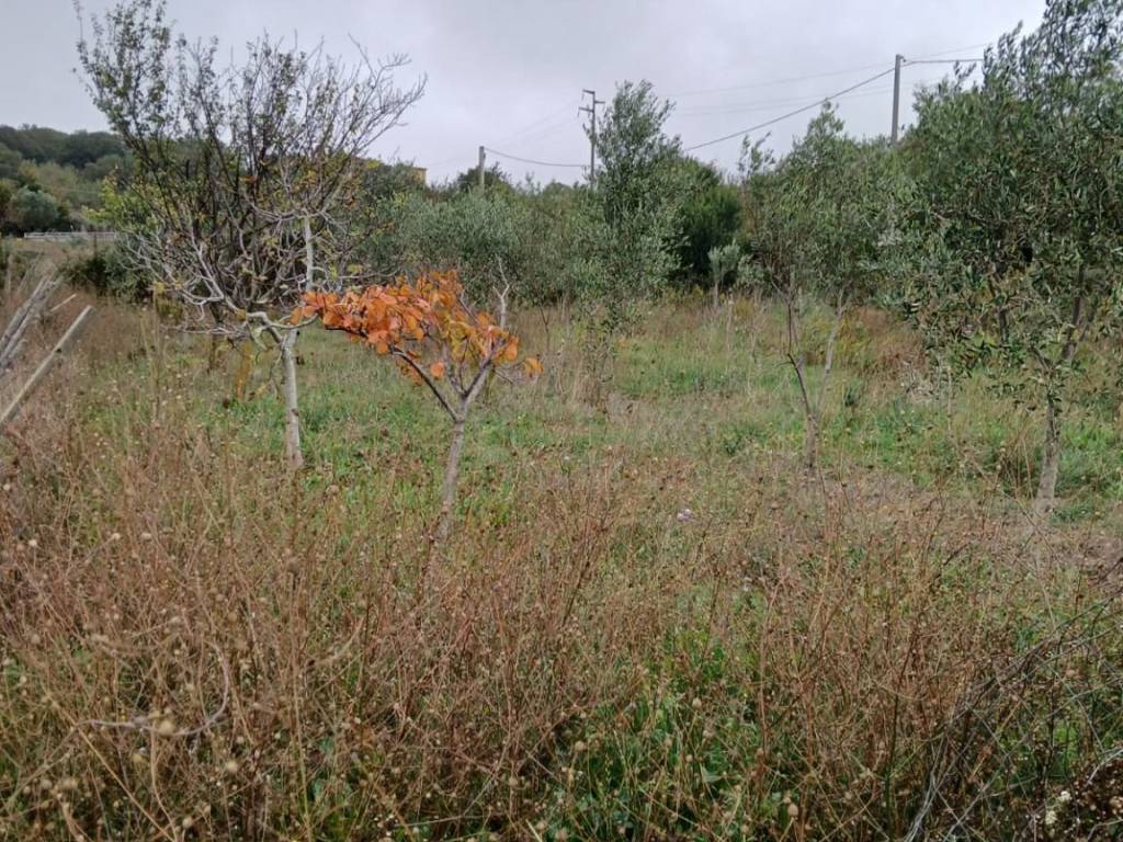 Terreno a Civitavecchia in Via Andrea Moneta - Foto 4