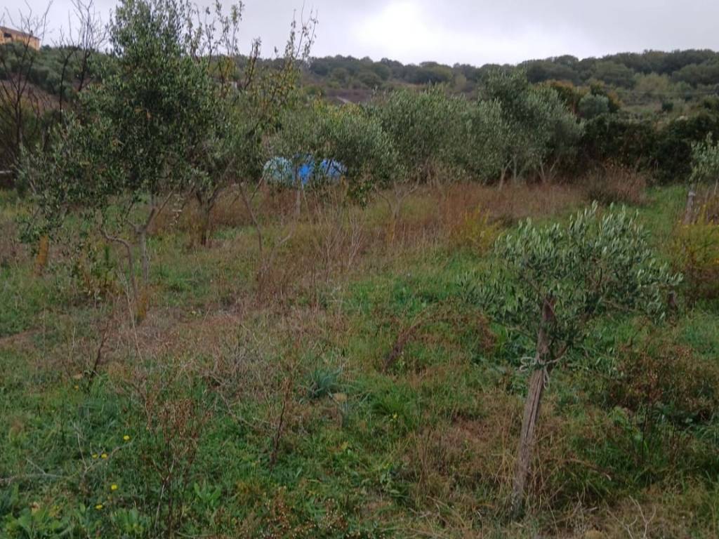 Terreno a Civitavecchia in Via Andrea Moneta - Foto 5