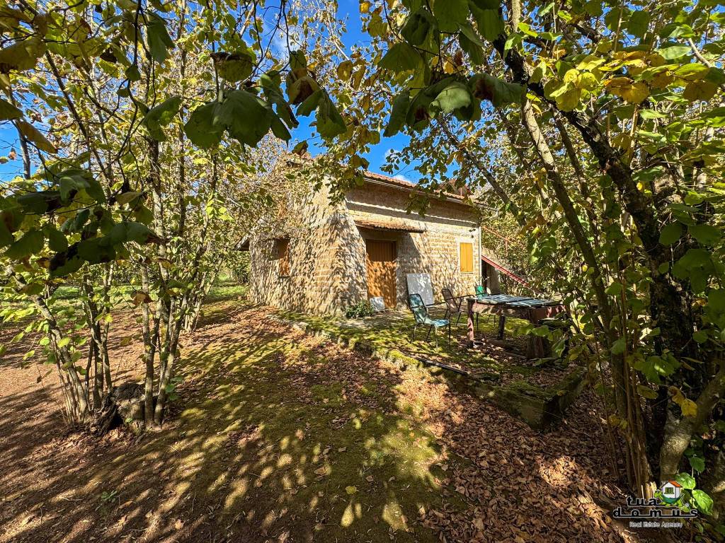 Rustico / casale a Sutri in Strada Provinciale Beccacceto - Foto 2