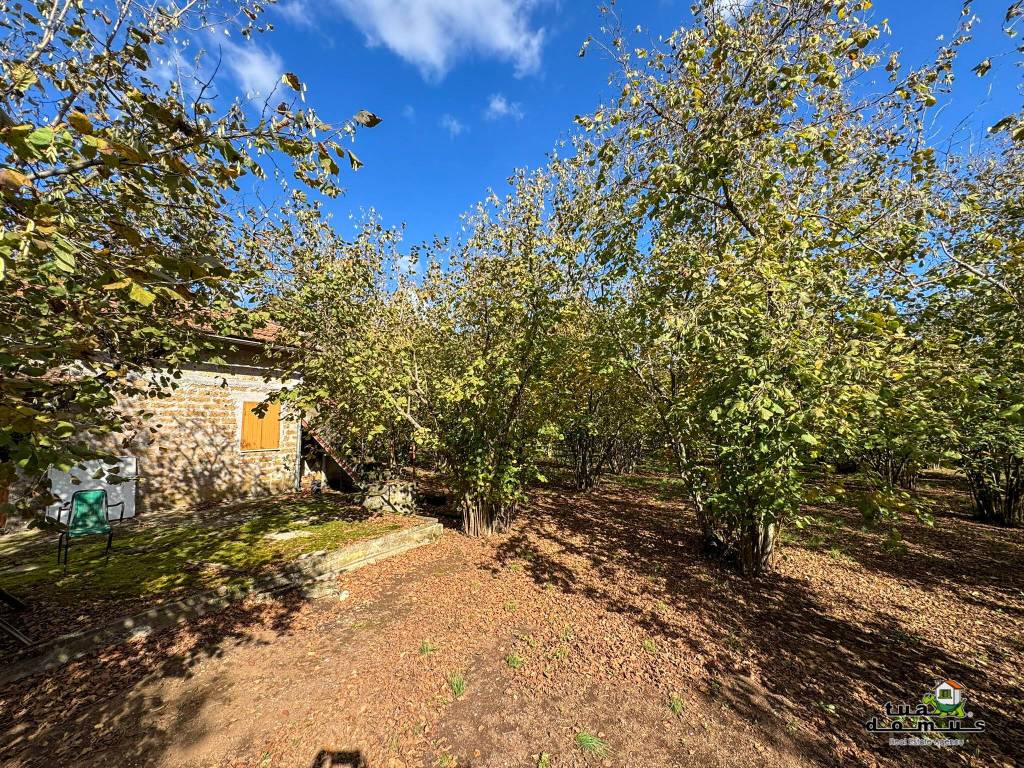 Rustico / casale a Sutri in Strada Provinciale Beccacceto - Foto 5