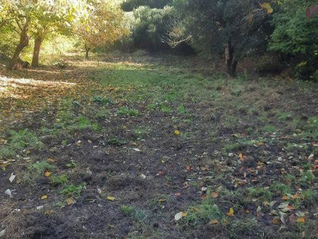 Rustico / casale a Baone in Via Ca' Orologio - Foto 2