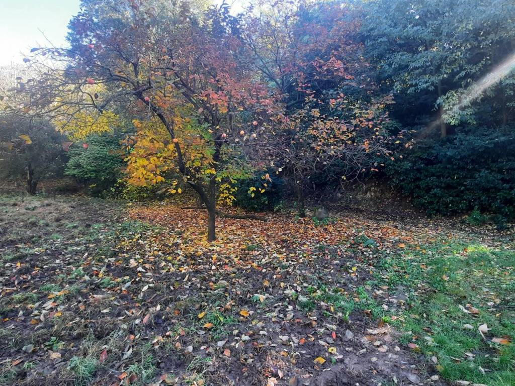 Rustico / casale a Baone in Via Ca' Orologio - Foto 3