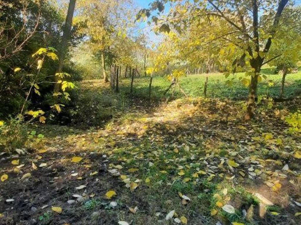 Rustico / casale a Baone in Via Ca' Orologio - Foto 4