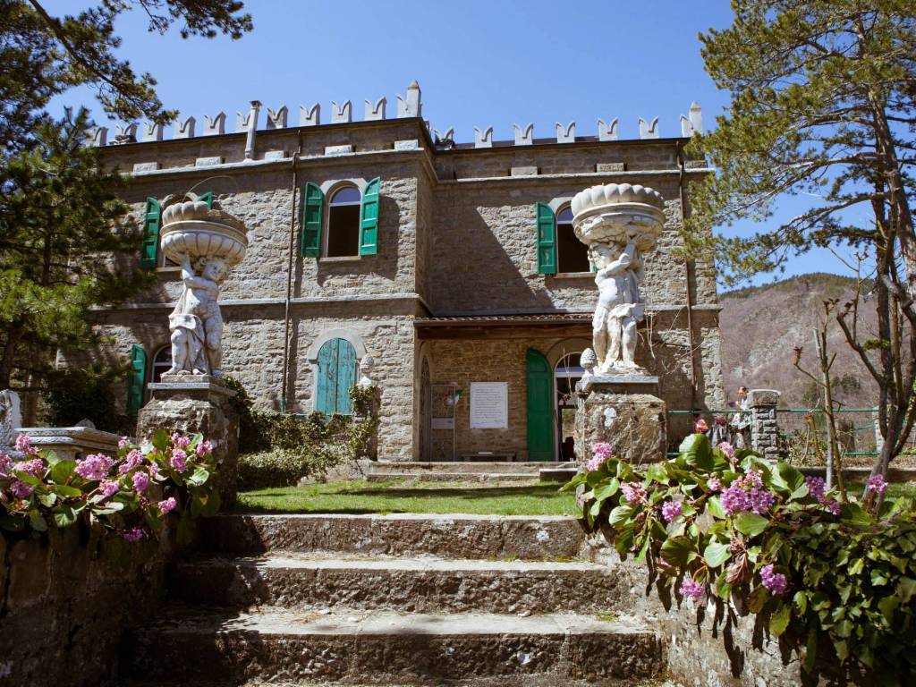 immagine di copertina