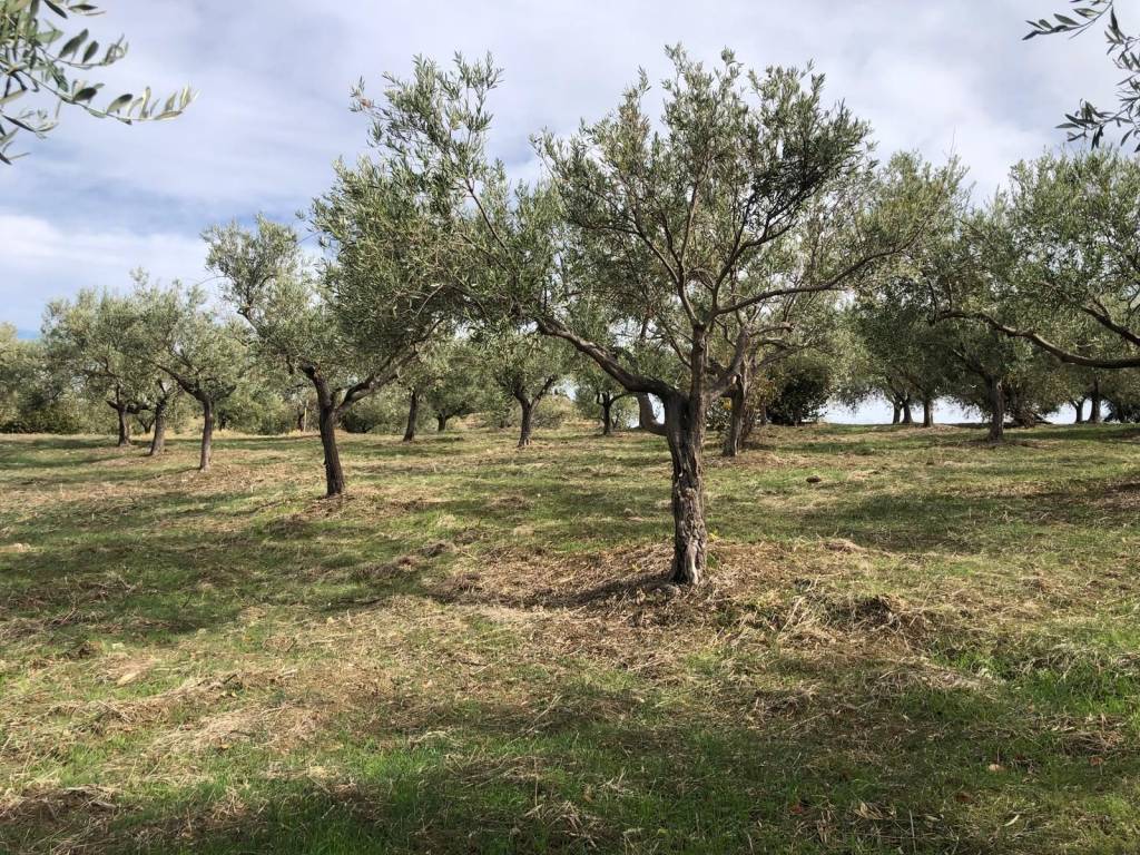 Terreno a Furnari in Via Risorgimento - Foto 3
