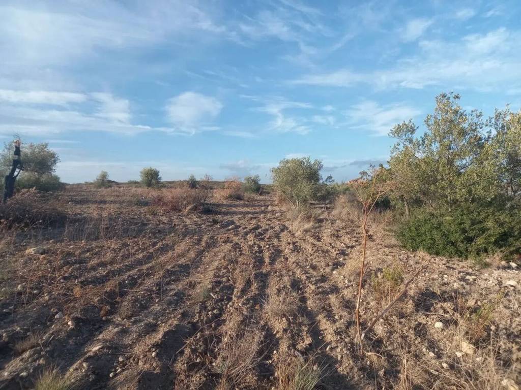 Terreno a Noto - Foto 5