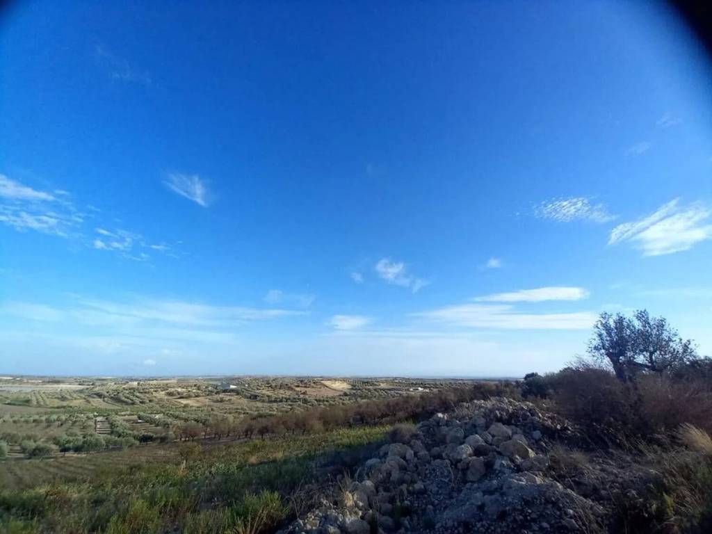 Terreno a Noto - Foto 3