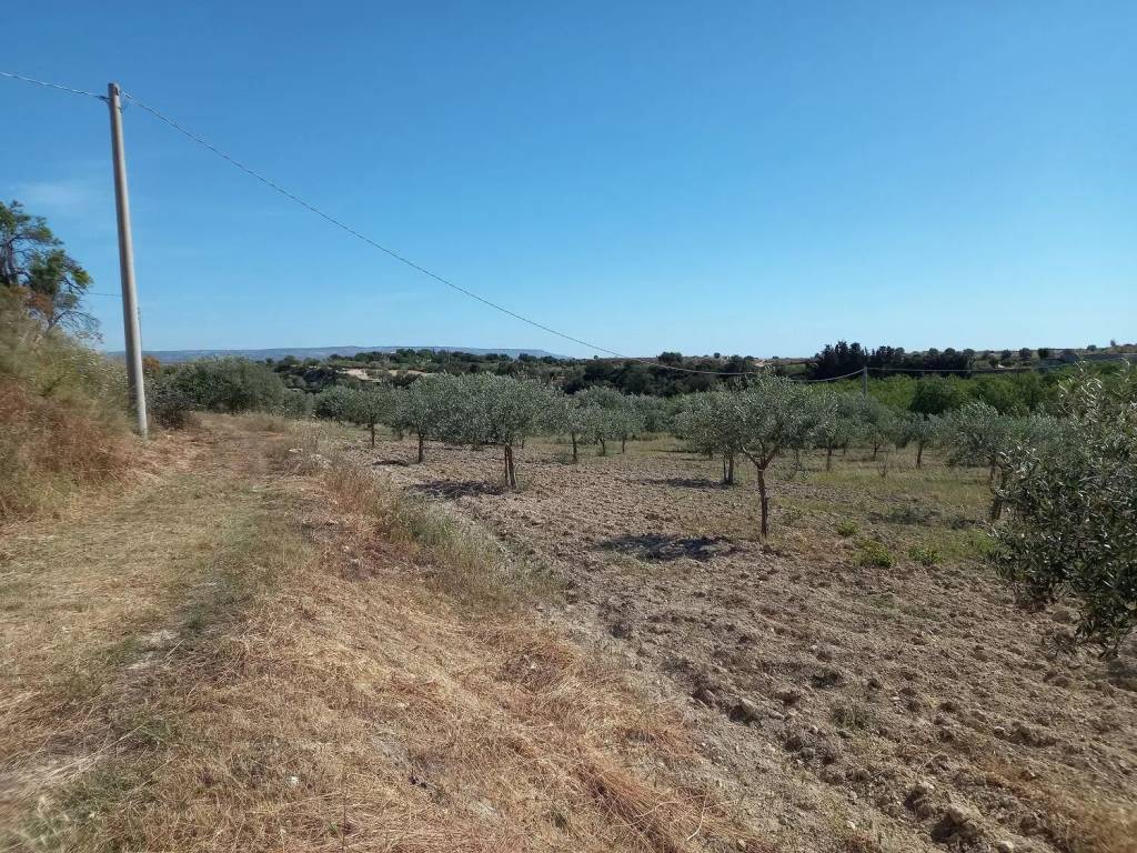 Terreno a Noto in Contrada Carcicera No Number - Foto 5