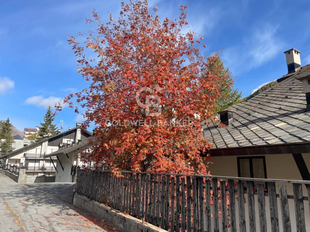 Appartamento a Pragelato in Via del Rif, 4 - Foto 5