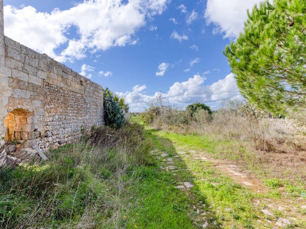 Rustico / casale a Gagliano del capo in SS275 - Foto 5