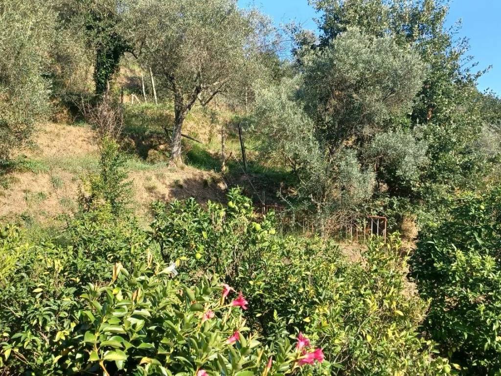 Villa a La spezia - Foto 4