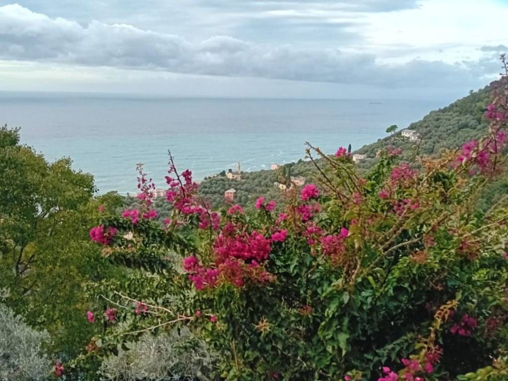 Appartamento a Recco in Via Ageno - Foto 2