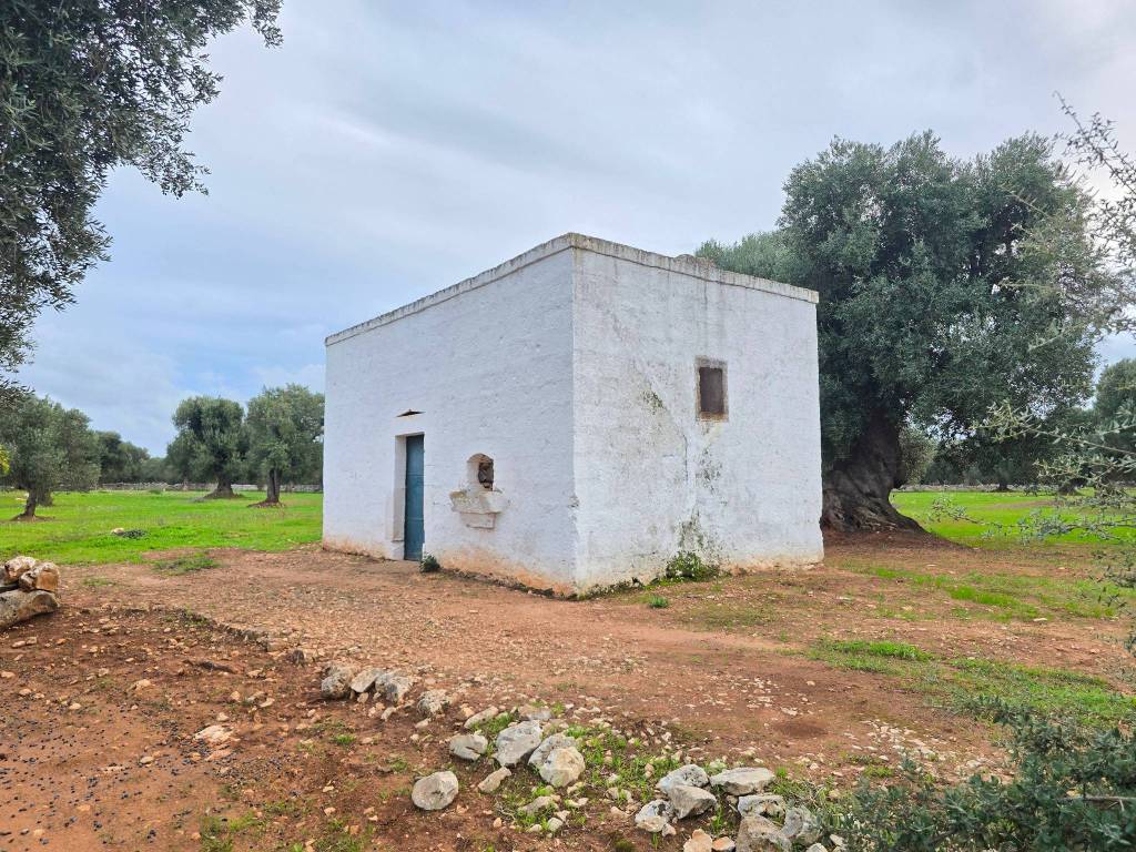 Terreno a Ostuni in SP21 - Foto 2