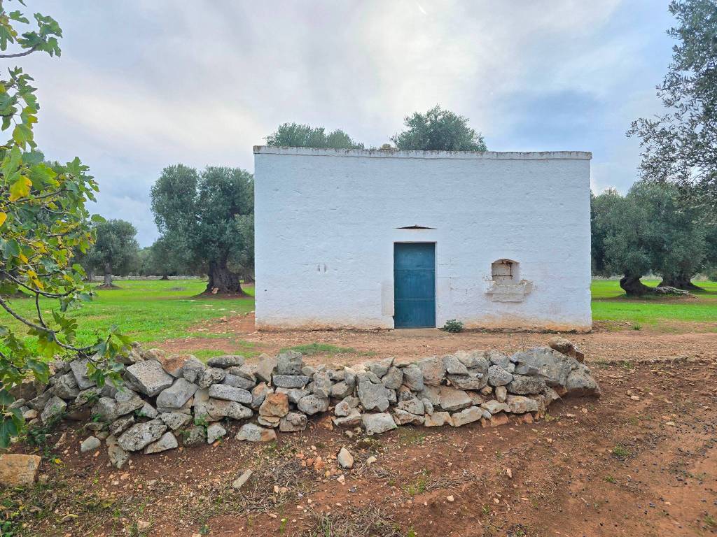 Terreno a Ostuni in SP21 - Foto 3